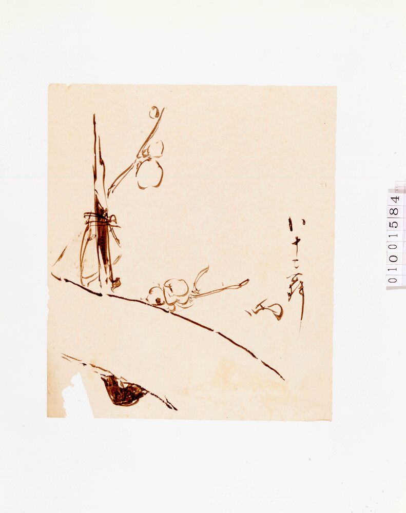 作品画像:下絵 梅樹