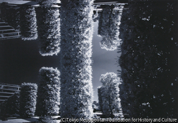 作品画像:Double Vision-Paris: アンドレ・シトロエン庭園