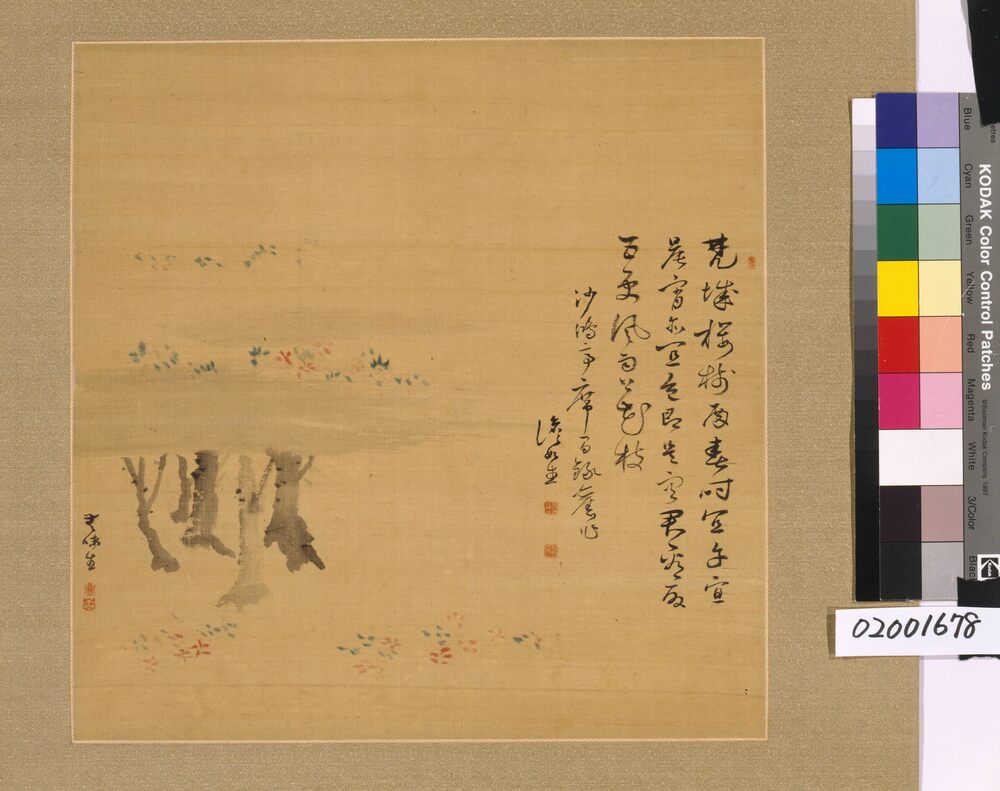 作品画像:澹如先生櫻花詩画