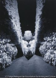 作品画像:Double Vision-Paris: ソー庭園