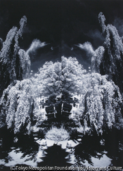 作品画像:Double Vision-Paris: シェズ・レカミエ広場