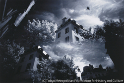 作品画像:Double Vision-Paris: サンジェルマン地区