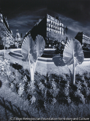 作品画像:Double Vision-Paris: エドモン・ロスタン広場