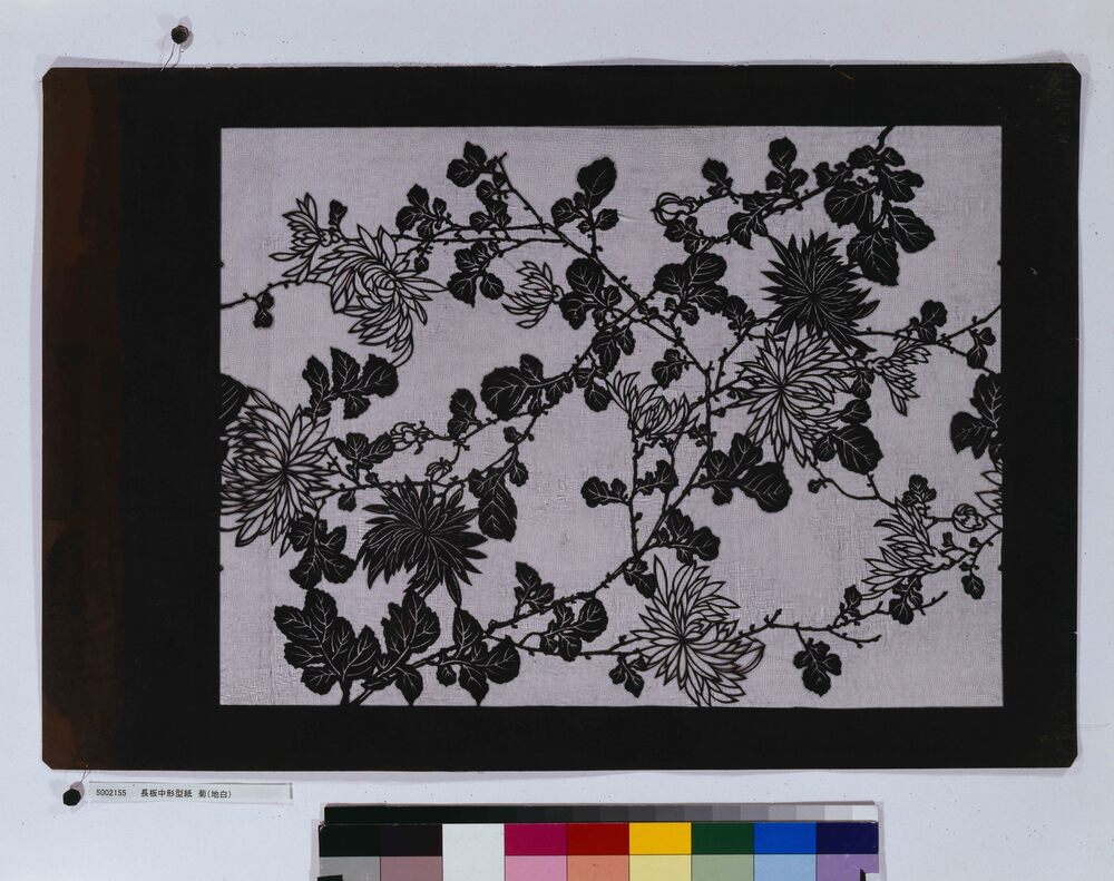作品画像:長板中形型紙 菊(地白)