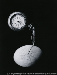 作品画像: