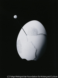 作品画像: