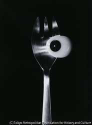 作品画像: