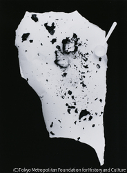 作品画像: