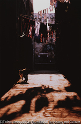 作品画像:下町の路地