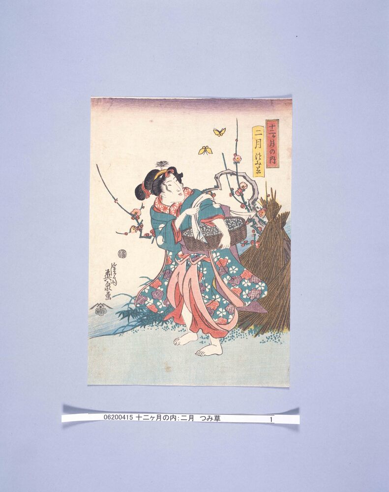 作品画像:十二ヶ月の内 二月 つみ草