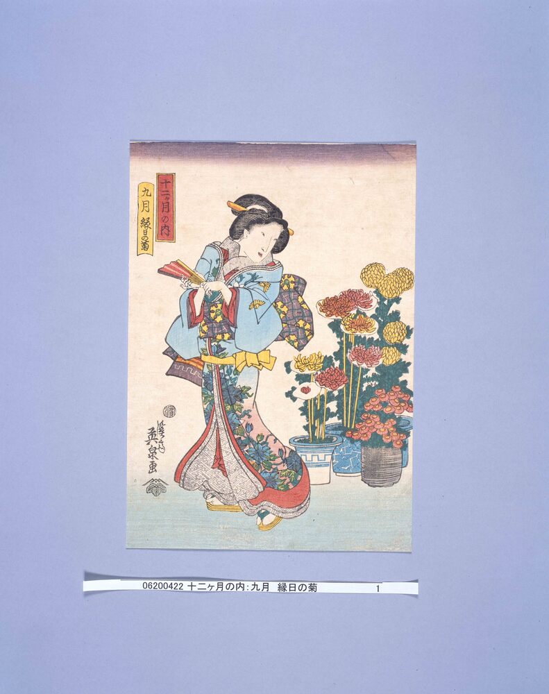 作品画像:十二ヶ月の内 九月 縁日の菊
