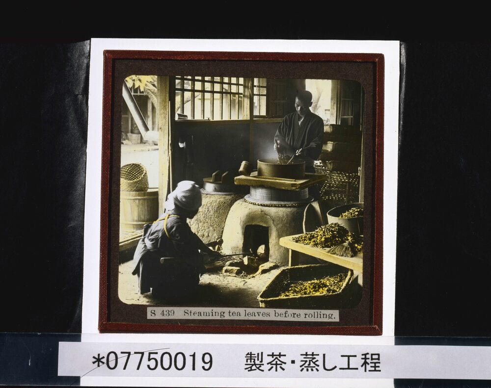 作品画像:製茶・蒸し工程