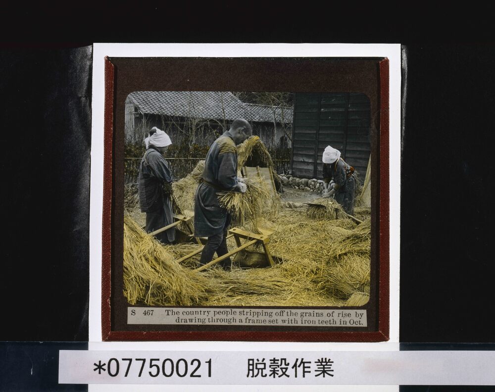 作品画像:脱穀作業