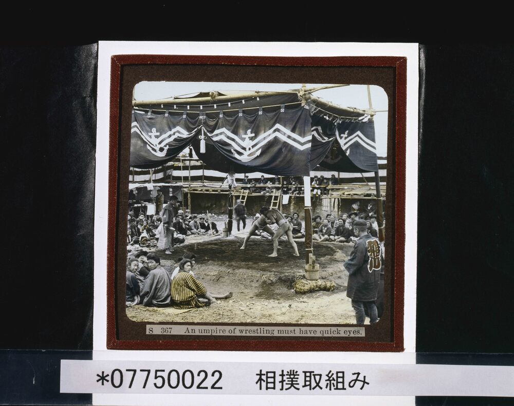 作品画像:相撲取組み