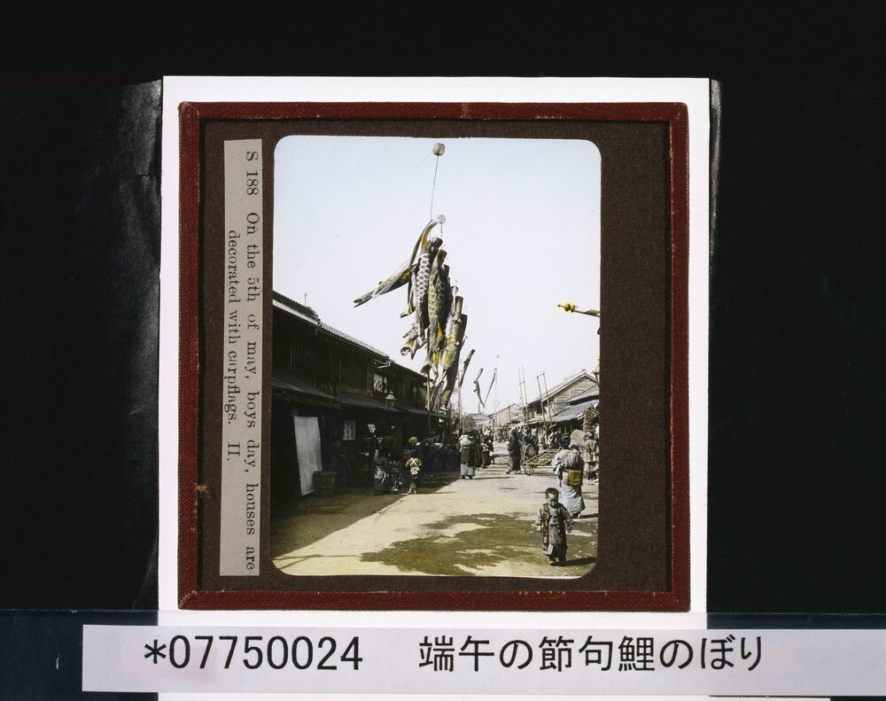 作品画像：端午の節句鯉のぼり