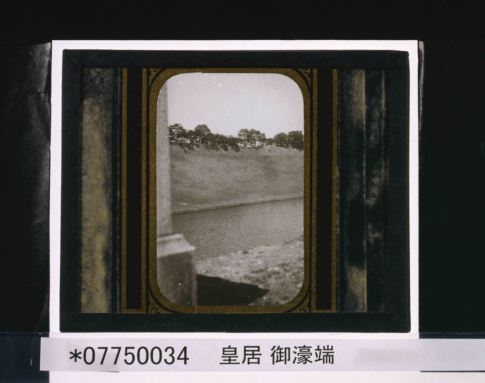 作品画像:皇居 御濠端