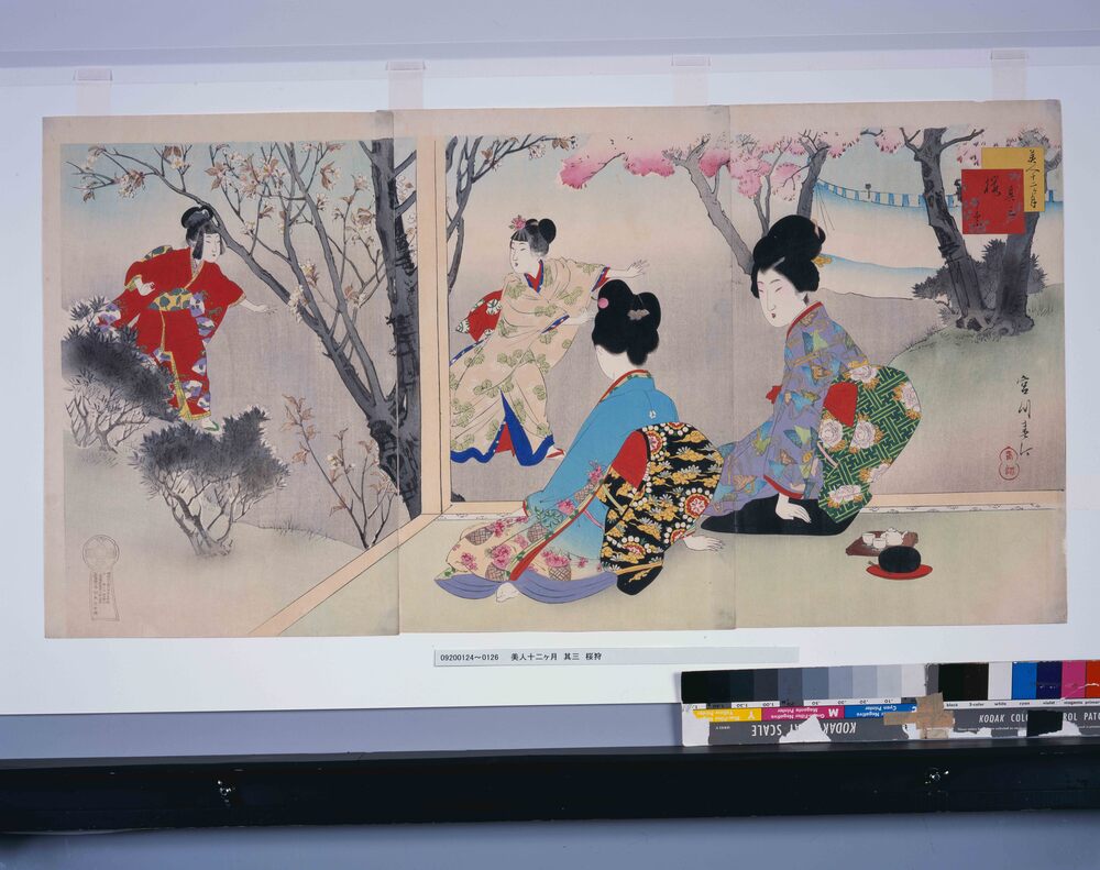 作品画像:美人十二ヶ月 其三 桜狩