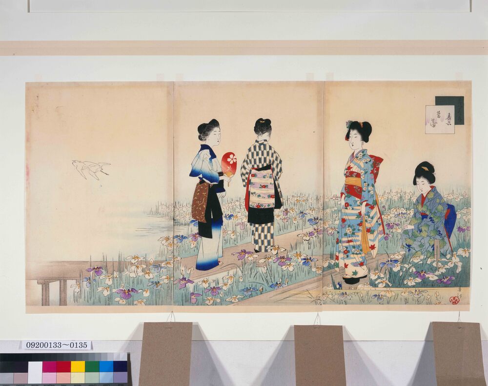 作品画像:美人十二ヶ月 其六 菖蒲