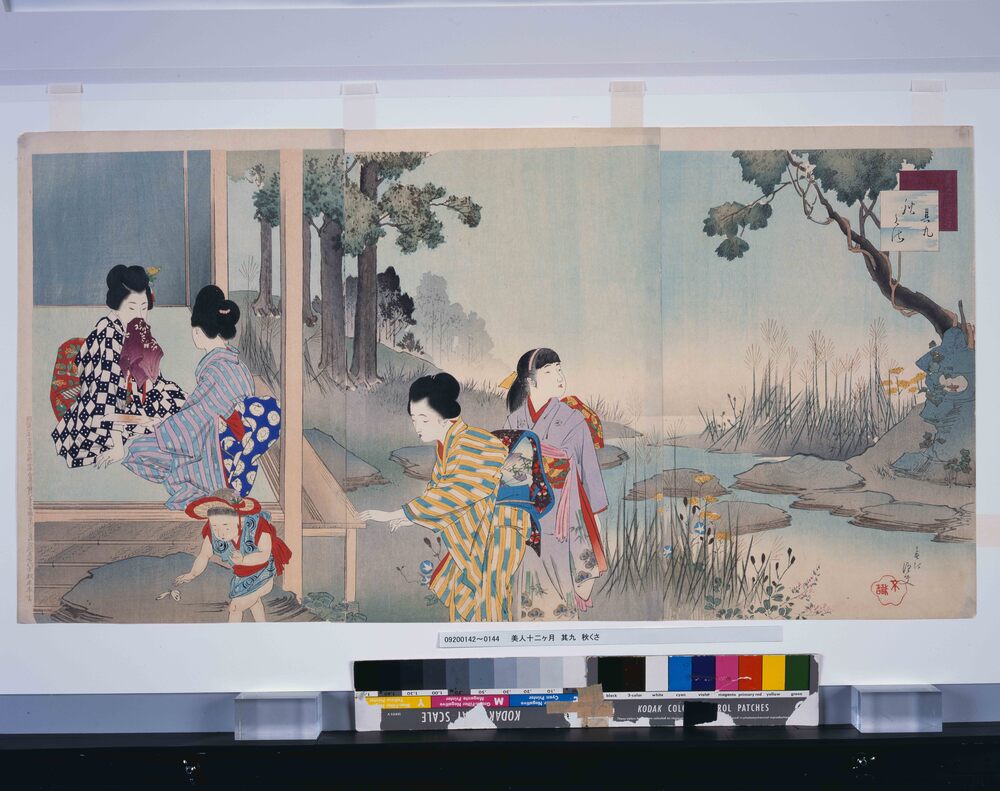 作品画像：美人十二ヶ月　其九　秋くさ