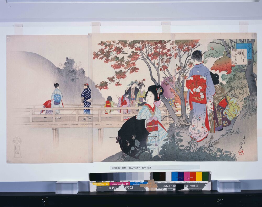 作品画像：美人十二ヶ月　其十　紅葉
