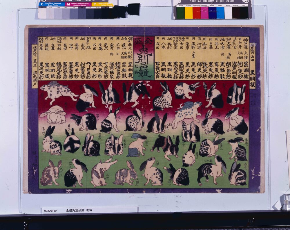 作品画像:全盛兎別品競