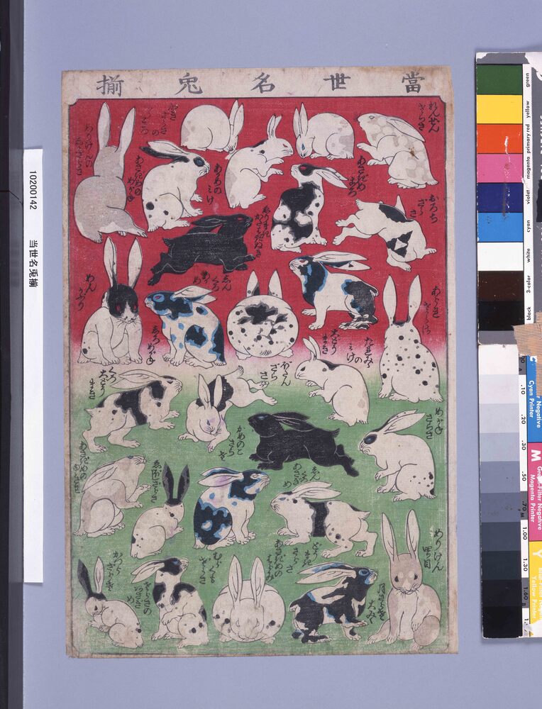作品画像：当世名兎揃