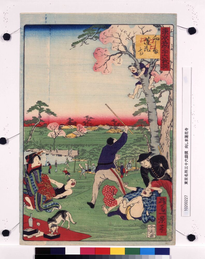 作品画像:東京名所三十六戯撰 向しま蓮花寺