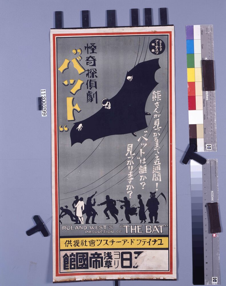 作品画像:映画「バット」ポスター