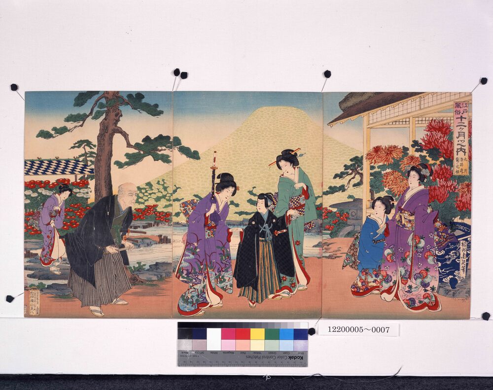 作品画像:江戸風俗十二ヶ月之内 九月 染井造り菊ノ元祖
