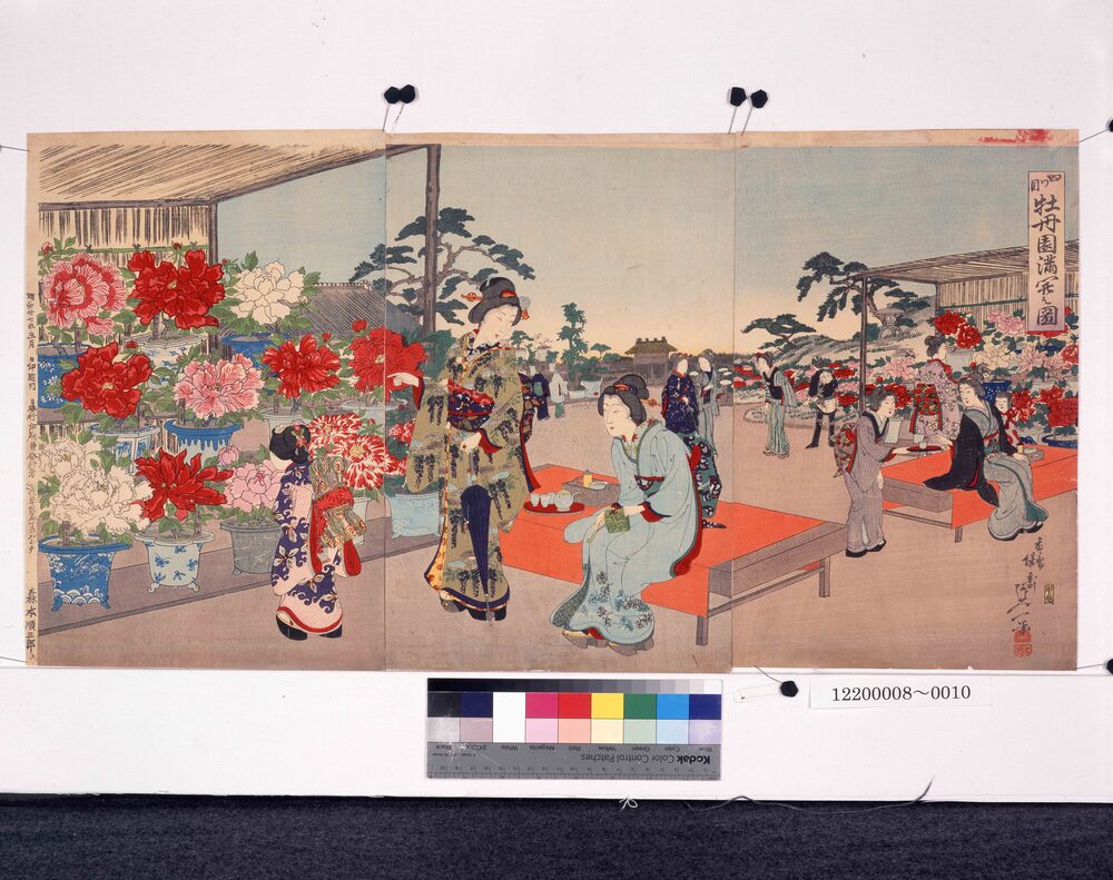 作品画像:四ツ目牡丹園満開の図
