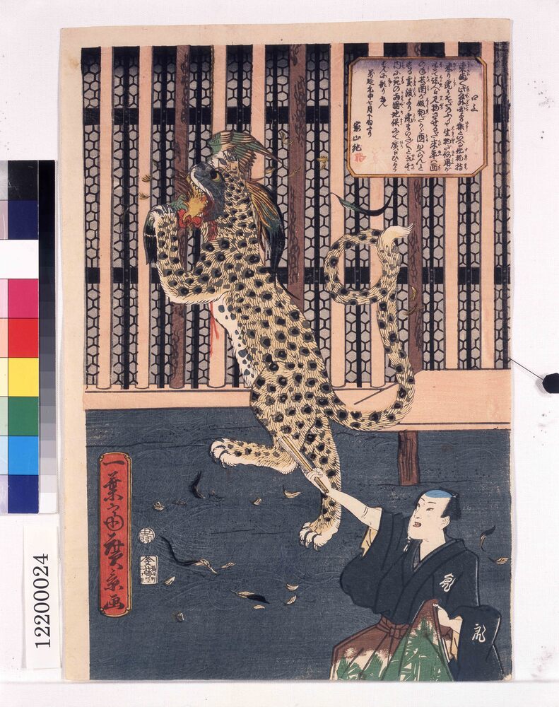 作品画像:虎の見世物