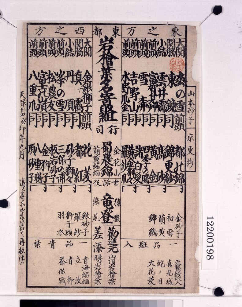 作品画像:東都岩桧葉名寄組