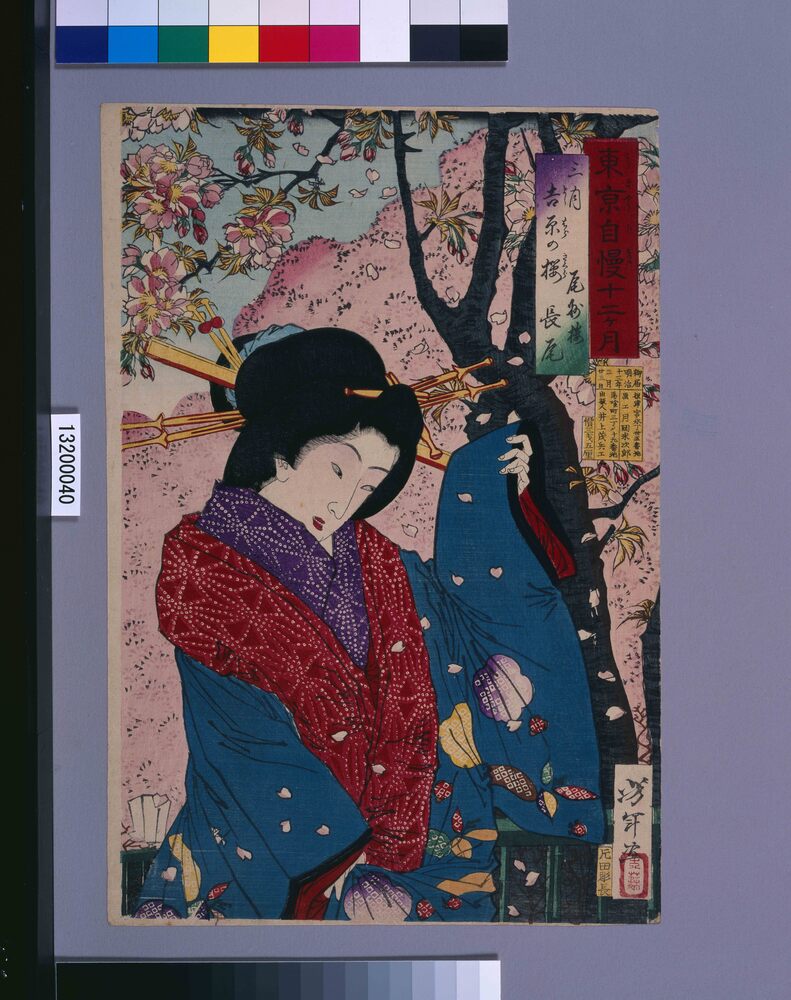 作品画像:東京自慢十二ヶ月 三月 吉原の桜