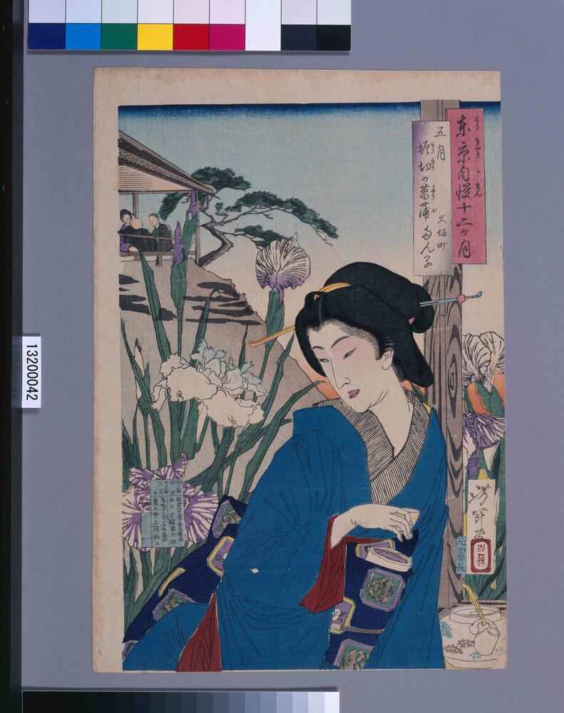 東京自慢十二ヶ月 五月 堀切の菖蒲