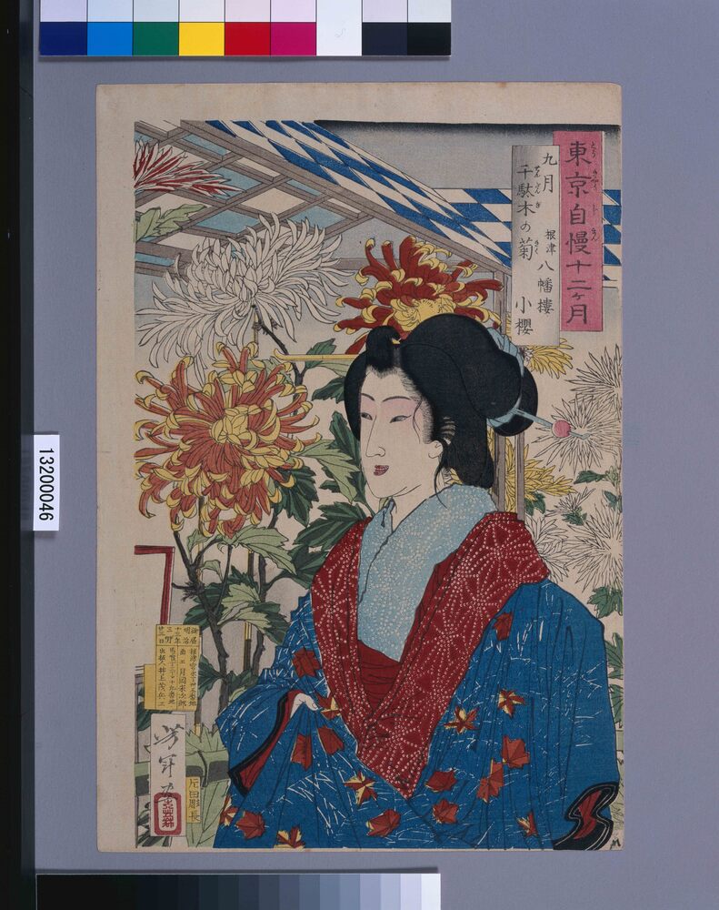 作品画像:東京自慢十二ヶ月 九月 千駄木の菊