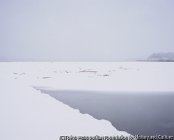 作品画像:2012年2月25日 気仙町砂盛 高田松原