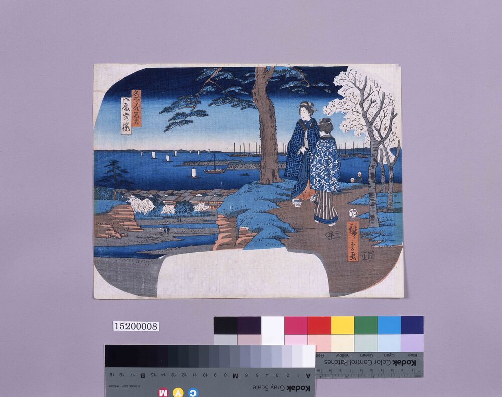作品画像：団扇絵　名所花兄弟 御殿山の桜