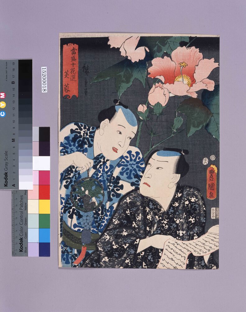 作品画像:当盛十花撰 芙蓉