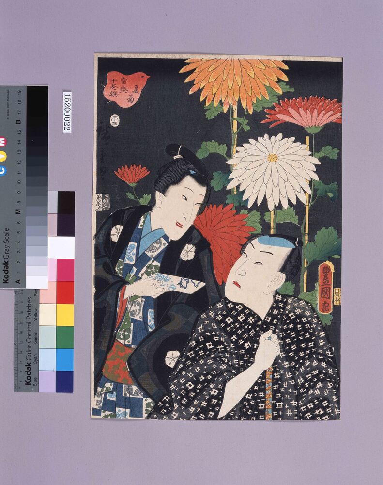 作品画像:当盛十花撰 夏菊