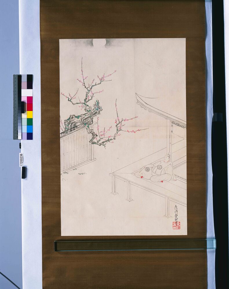 作品画像:粉本 光起写 貴人観梅