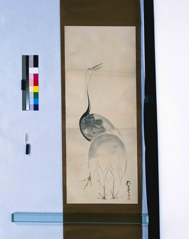 作品画像:粉本 抱一写 双鶴