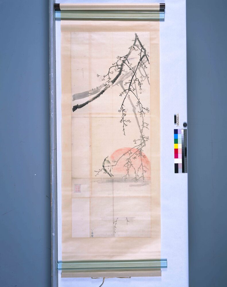作品画像:粉本 梅に鶯