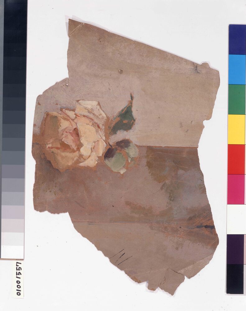 作品画像:下絵断片 「シーザーの香炉」(薔薇)