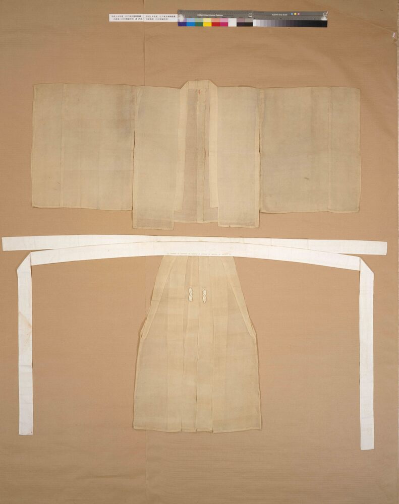 作品画像:白装束(川村清雄所用)