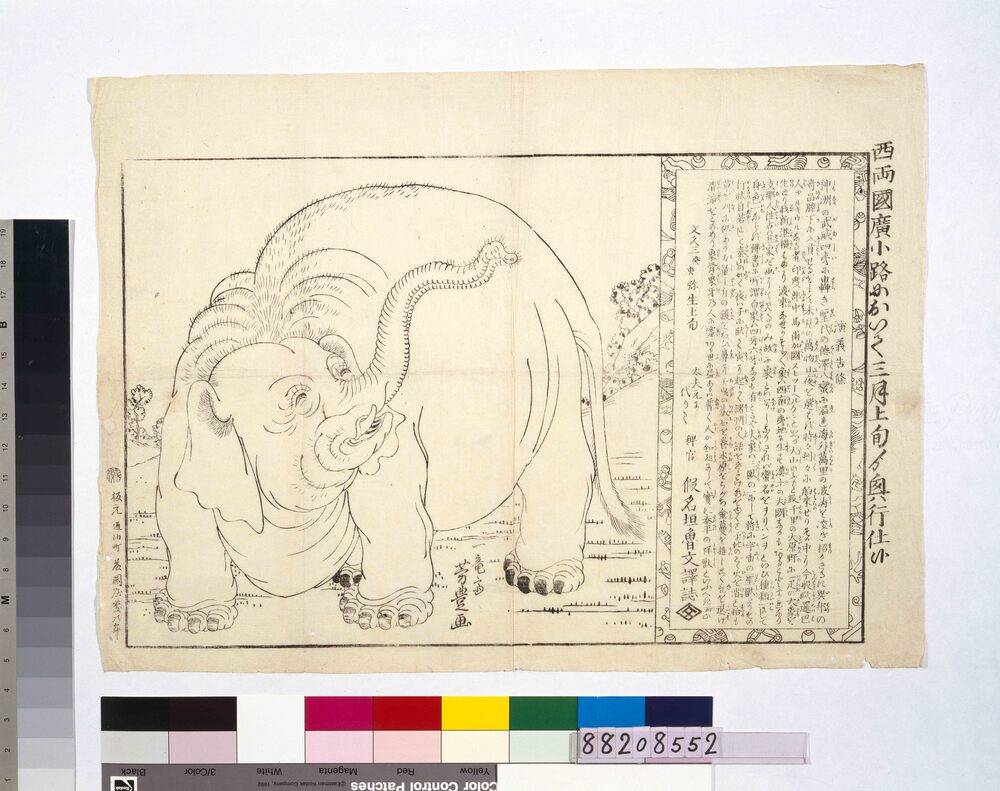 作品画像：両国広小路興行 象之図