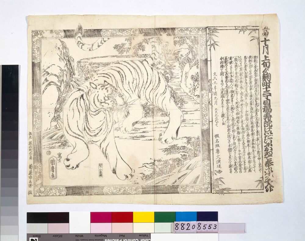 作品画像:麹町福寿院において虎之図