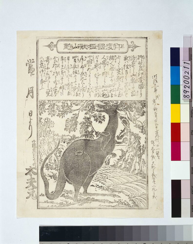 作品画像:印度国猛獣山#(かんころり)