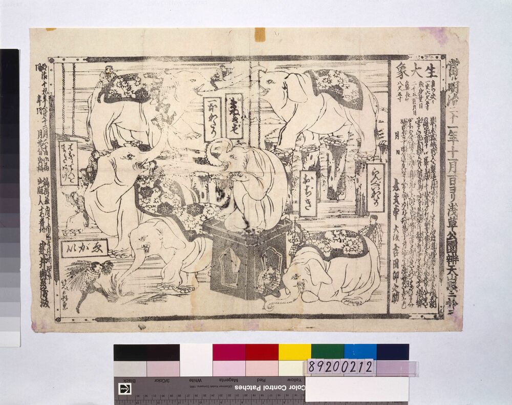 作品画像:ちらし 生大象浅草公園辨天山脇ニ於テ