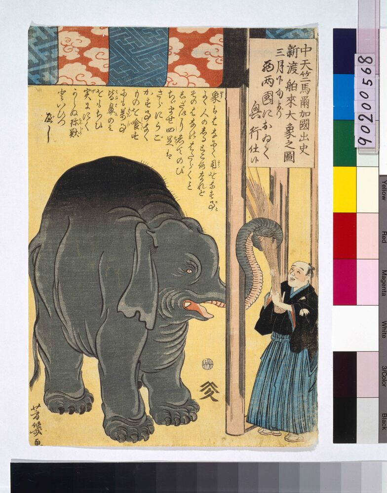 作品画像:中天竺馬爾加国出史新渡舶来大象之図