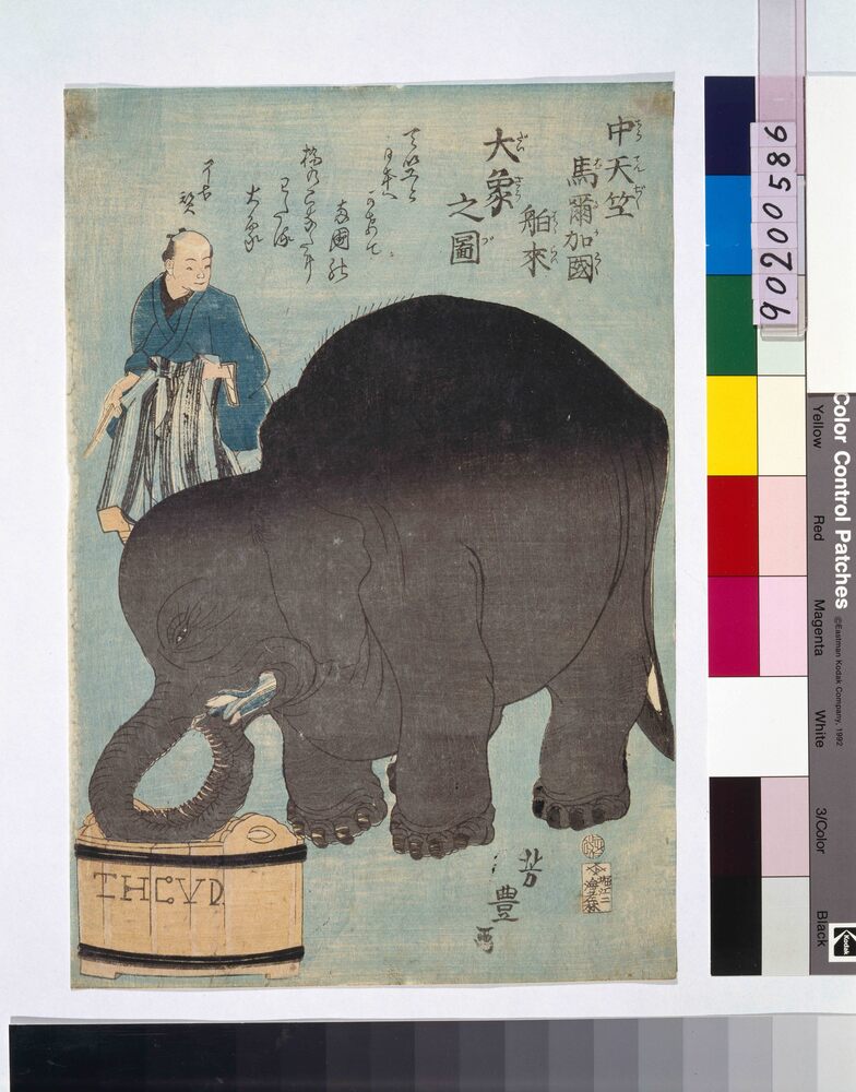 作品画像:中天竺馬爾加国舶来大象之図